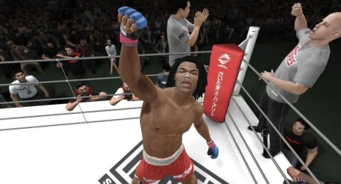 UFC Undisputed 3 Sony PlayStation 3 (PS3)